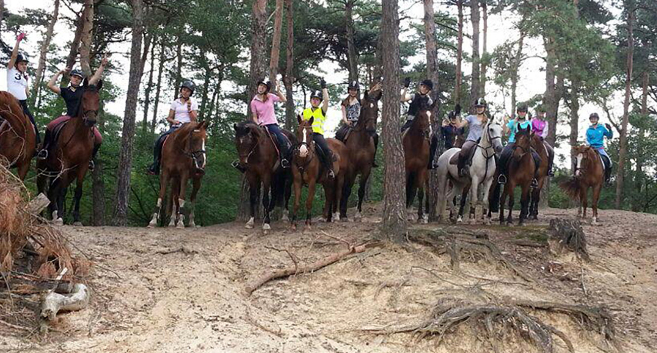 Paardrijlessen buitenrit in bossen