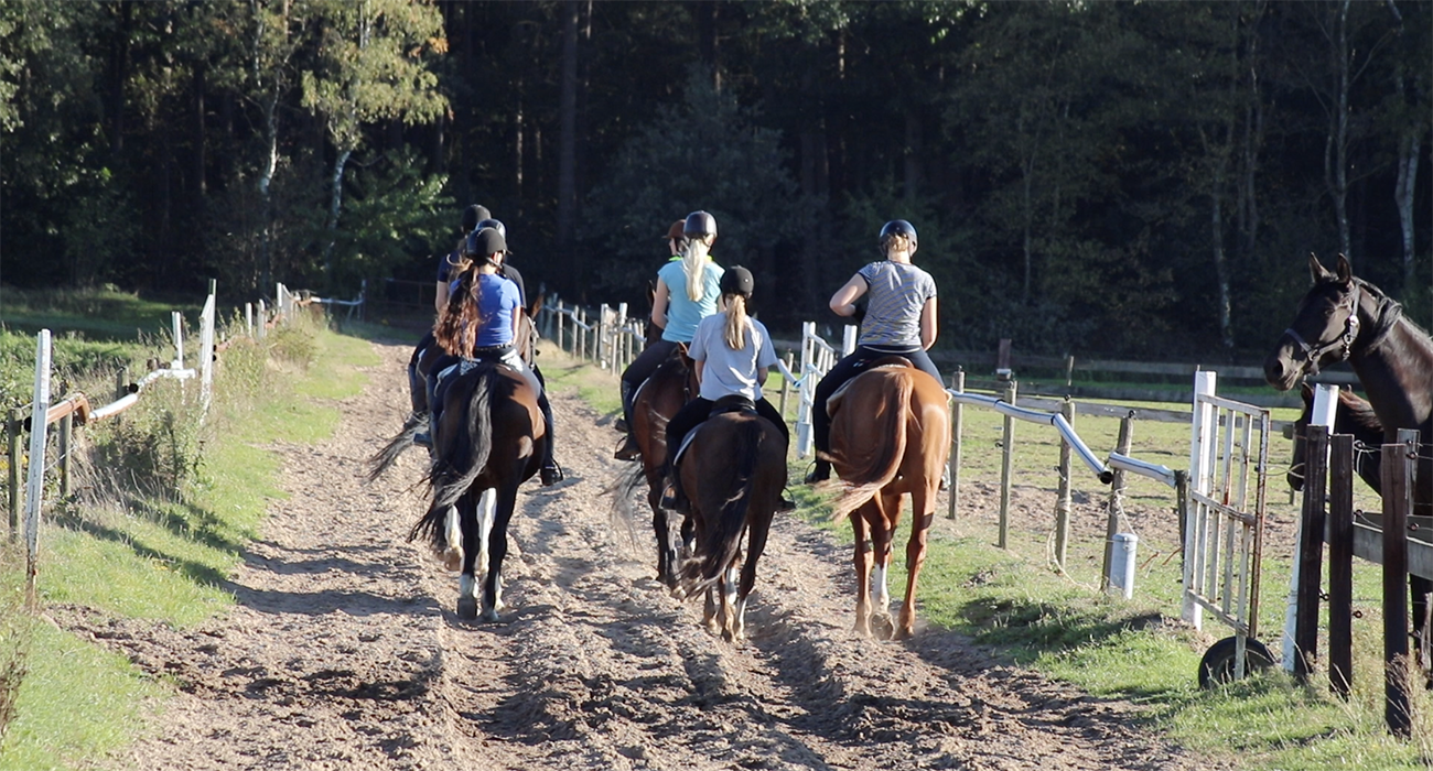 paardrijlessen buitenrit